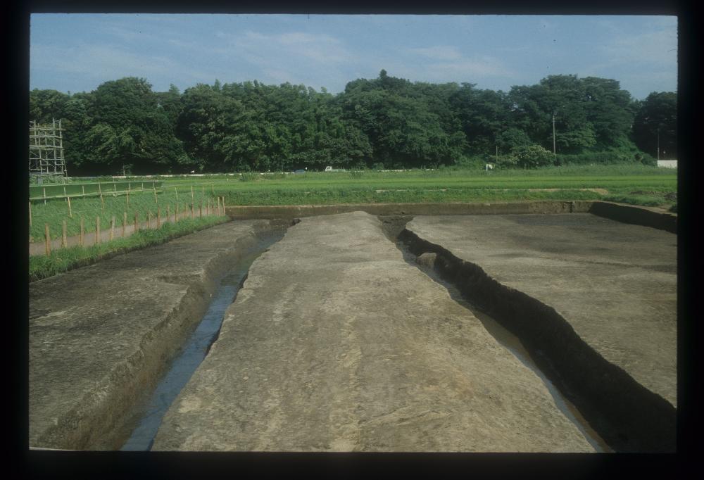 古代道路跡の写真
