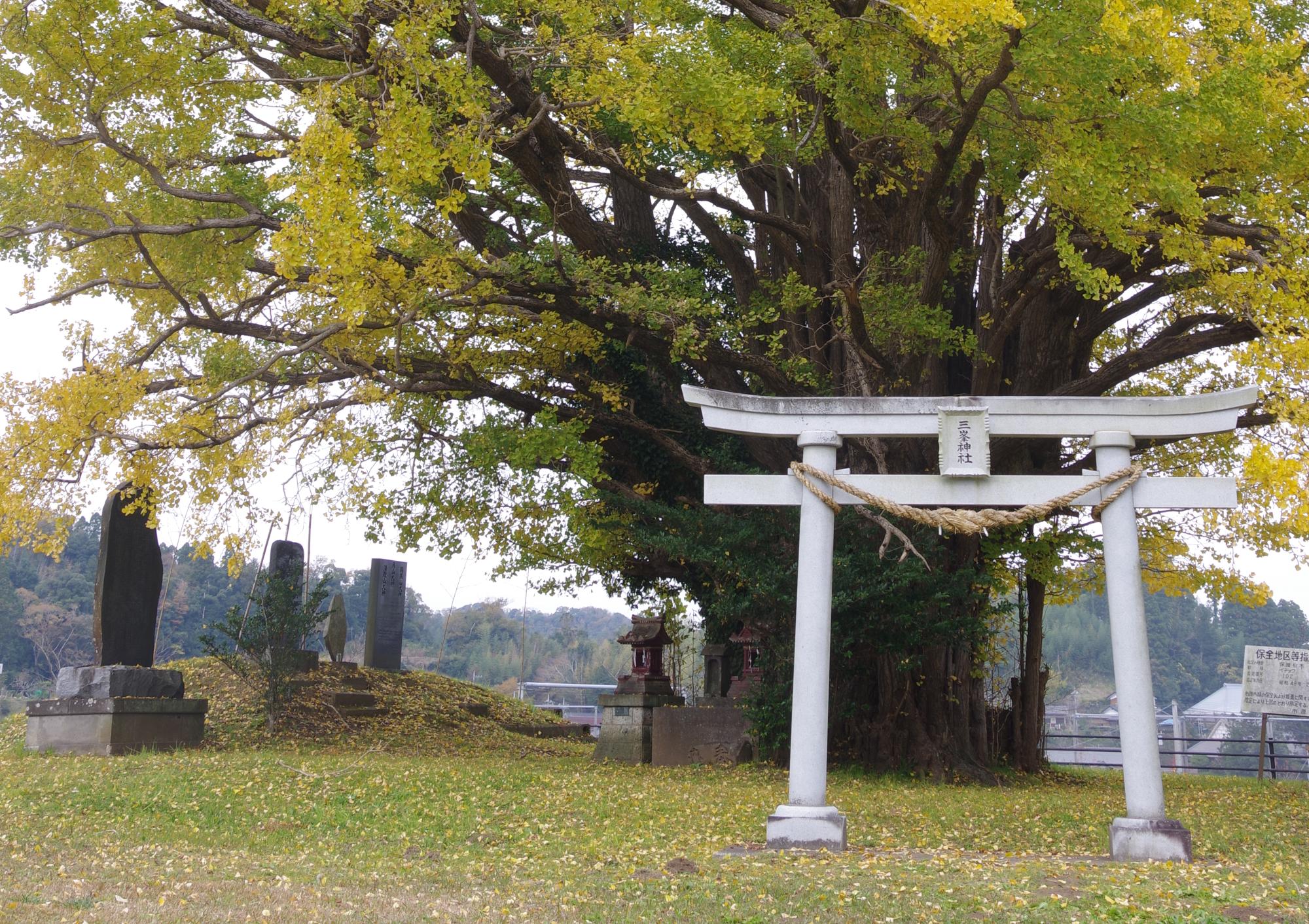 三峯神社の写真