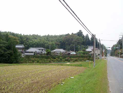 手前に館跡推定地がある葉木城跡近景の写真