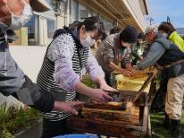 検討会メンバー大人の男女が海苔すき体験をしている様子その1