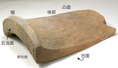 下部は真っ直ぐで上部が右から左側に反っている形で、左側がアーチ状の長方形で装飾された茶色の瓦の写真