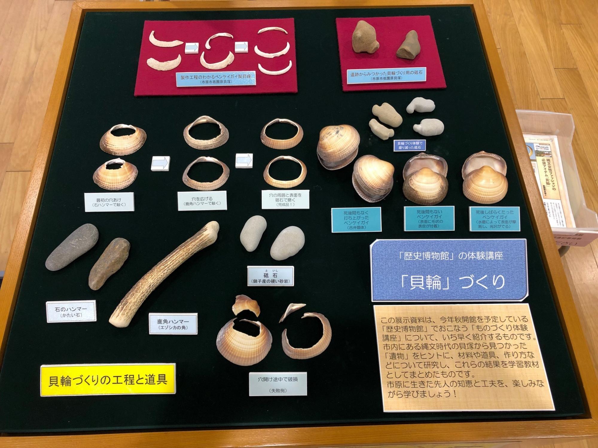 ショーケースの中に歴史博物館の体験講座「貝輪」づくりに使用される石のハンマーや砥石などの道具などが並んで展示されている写真