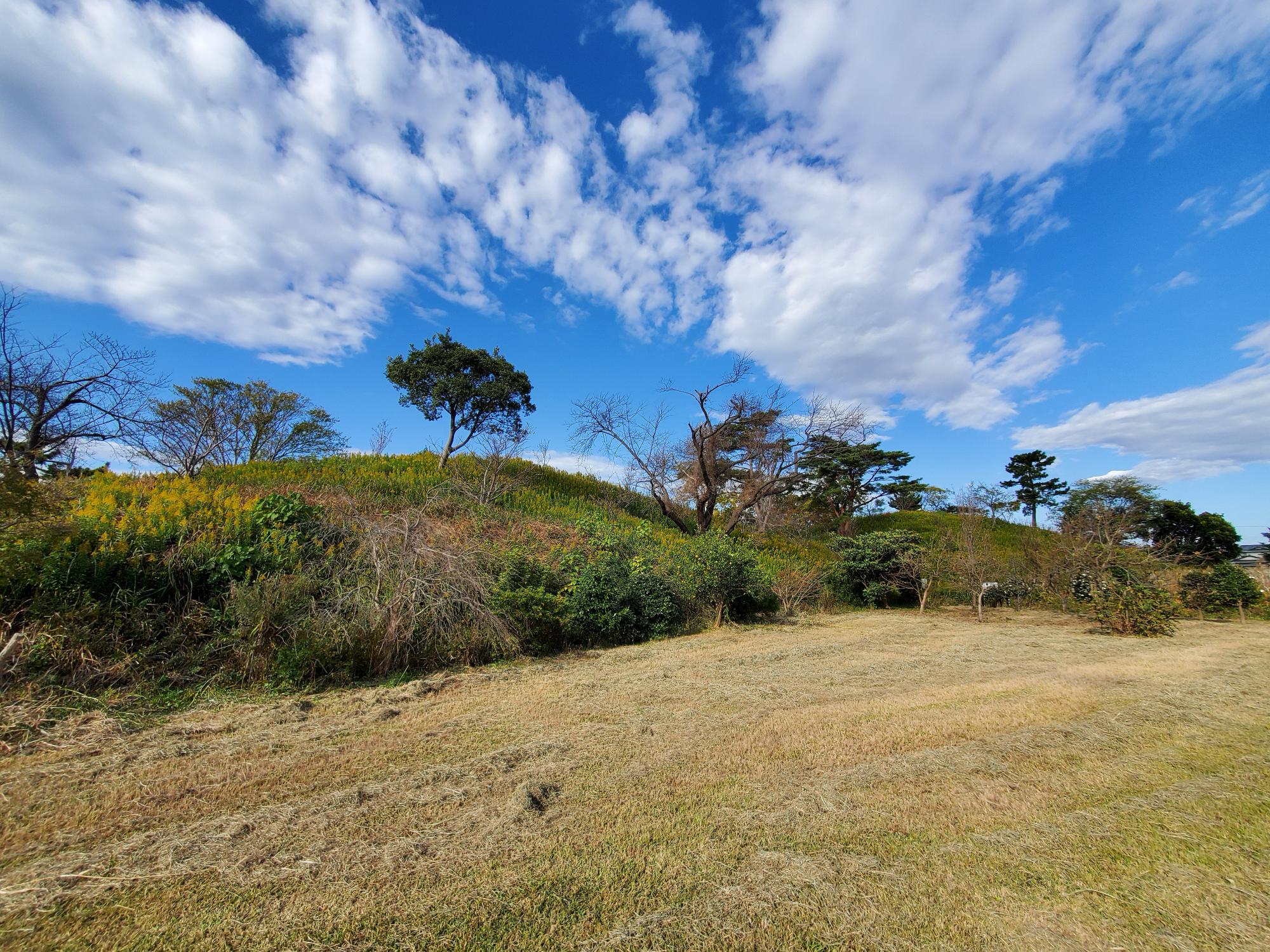 低地に築かれた二子塚古墳の全景