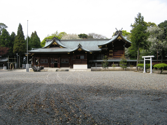 木々に囲まれ砂利の地面の上に建つ、姉崎神社の社殿を横から見た写真
