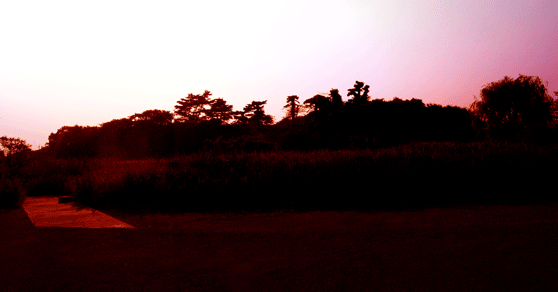 夕日がかった二子塚古墳の写真