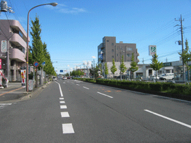 中央分離帯に生け垣がある片側2車線の道路を写した写真