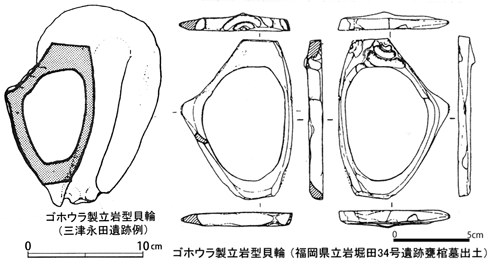出土されたゴホウラ製の貝輪を描いたイラスト