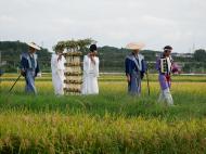 古代道を通る柳楯が写っている写真
