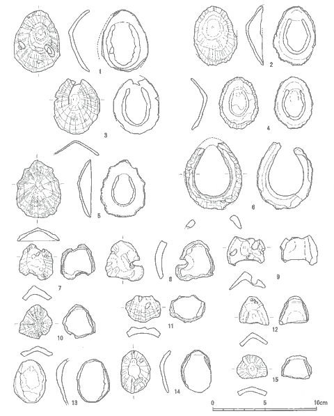 出土されたオオツタノハが1~15まで描かれたデッサン画