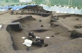 地面を円形や方形に堀りくぼめた竪穴住居跡の写真