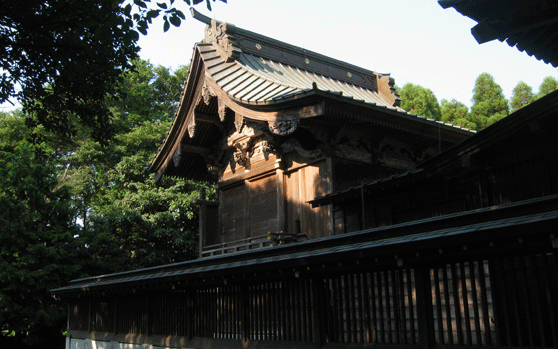 木々に囲まれた島穴神社の本殿に光が差している写真