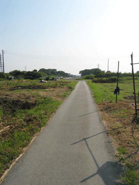 空が広く周りを空き地に囲まれた、見通しのよい細い道路の写真