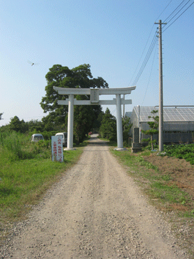 島穴神社入り口鳥居へと続く砂利道の写真