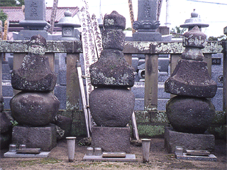 画像15