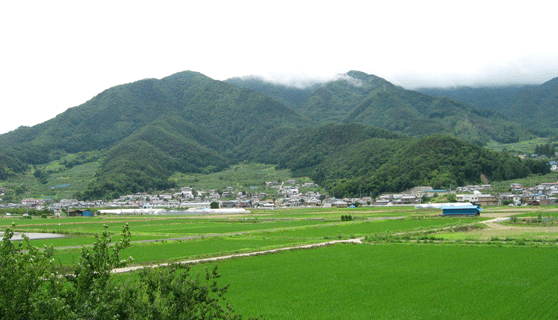 一面に広がる田んぼ、周辺には住宅地がある、後方に姨捨山が写っている風景写真