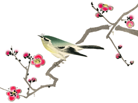 花が咲いた梅の木にとまるウグイスのイラスト