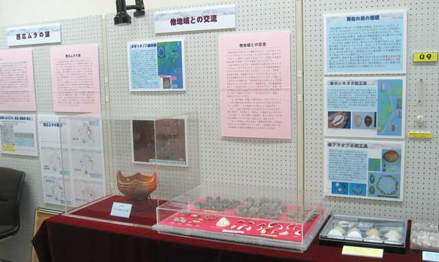 西広貝塚から見つかった遺物を展示している写真