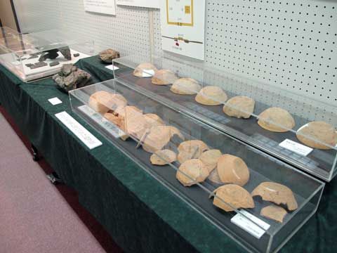 緑のクロスを敷いたテーブルの上に瓦などが置かれた平安時代前期に大破し捨てられた上総国分寺の遺物の展示風景の写真