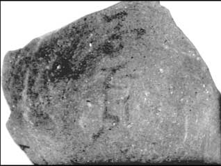 第7号住居址出土遺物の土師器坏底部外側に残る墨書の写真、詳細は右記