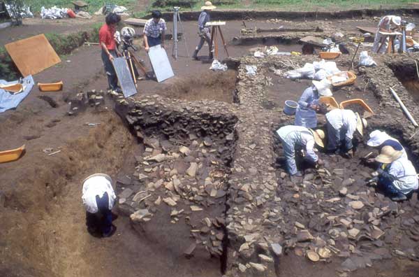 何人もの男女の作業員が南大門前の土採り跡の発掘作業を行っている写真