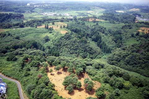 C1地区を北東側から望む写真、手前に木に覆われた前方後円墳がある