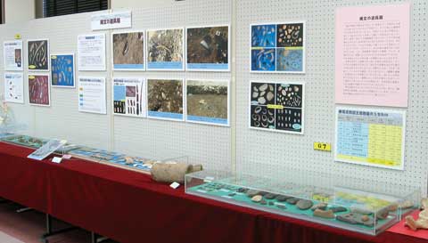 テーブルに出土した道具類、パネルに写真や説明が展示されている写真