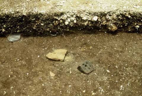 地面が一段下がった場所から出土した、表面にくぼみがある石皿の写真