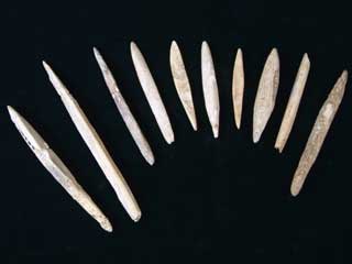 細く先端が尖っている長さの異なる10本のヤス状刺突具の写真