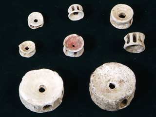西広貝塚から出土、写真13