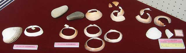 輪っか状に貝の中央部分が切り抜かれた貝殻で出来た貝輪が机に並んで展示されている写真