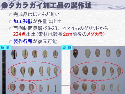 タカラガイ加工品の製作址についての説明と写真