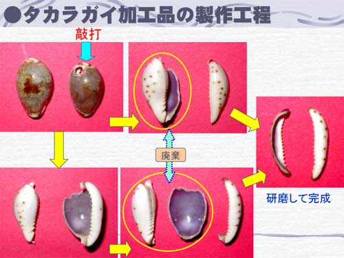 タカラガイ加工品の製作工程を示した写真