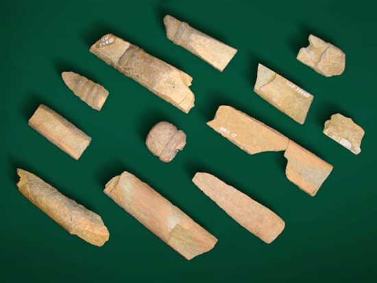 緑色の背景で、薄茶色の石剣や石棒の破片が12個並べられている写真