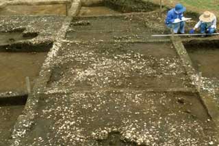 遺跡から遺構外の貝層が複数発見された写真