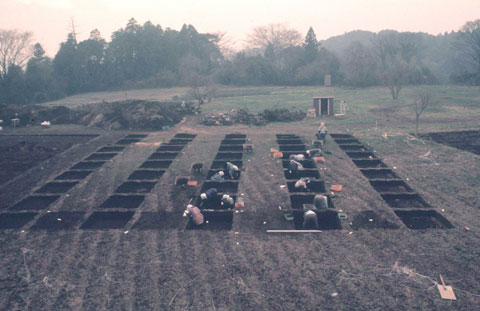 第1次調査開始当時のようすの写真