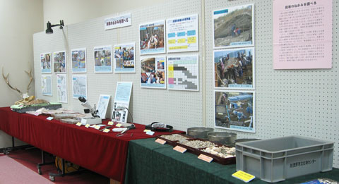 壁際の展示パネルに写真や資料が展示してあり、パネル前のテーブルには出土した骨などを展示してあるブースの写真