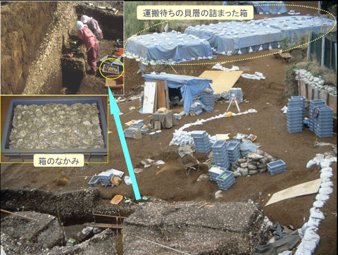 作業を行った地点ごとに箱づめしている写真