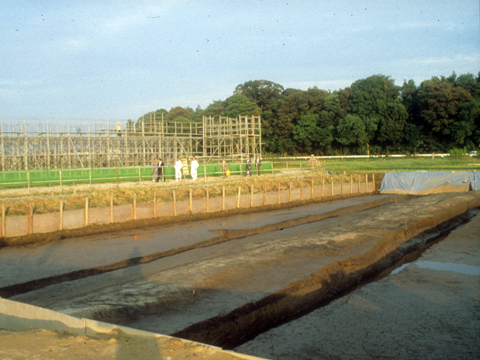 市原条里制遺跡調査の古代道にて柳楯神事を行う人々の写真