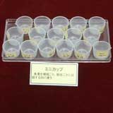 トレーの上に並べて置かれている半透明のミニカップの写真