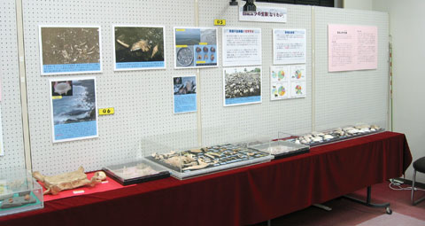 西広ムラの生業の様子を写真や資料にて展示している様子の写真