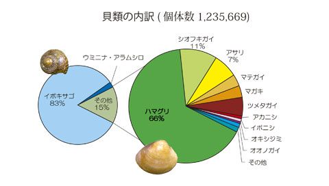 貝類の内訳