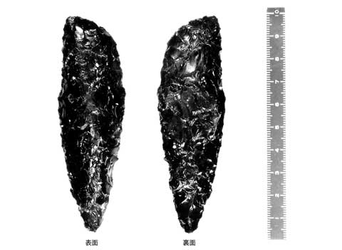 10センチメートル大の槍の先端のような形をした、白黒でまだら模様の尖頭器の写真