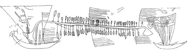 魚の骨を描いたような船の復元図