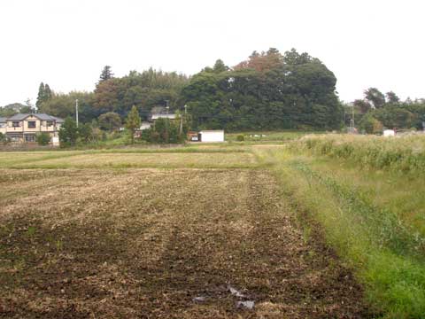 小野山城から見た蟻木城(正面台地)の写真