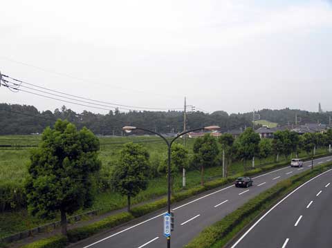 手前に道路があり車が2台走っている現在のばあ山遺跡周辺の様子を写した写真