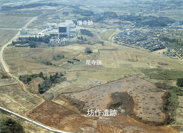 上空から見下ろした坊作遺跡尼寺跡。その奥に市役所と僧寺跡