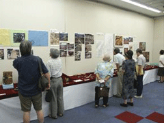 壁に展示されている写真や説明パネルをのぞき込んでいる年配の方6人が写っている写真