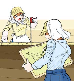 帽子をかぶり日除け対策をしている人が2人、メジャーで何かを測っていたりボードに何か書いたりしているイラスト画像