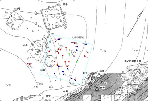 菊間手永貝塚遺跡の人骨群と墓域とその範囲の画像