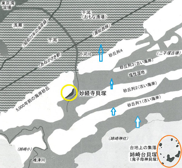 市原市姉崎地区の海蝕段丘上に位置する貝塚の分布図
